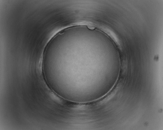X0000103331228200809051202