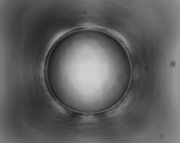 X0000103331231200809051202