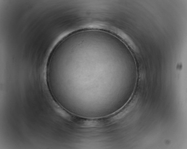X0000103331232200809051202
