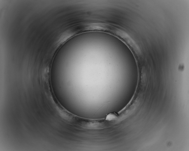 X0000103331233200809051202