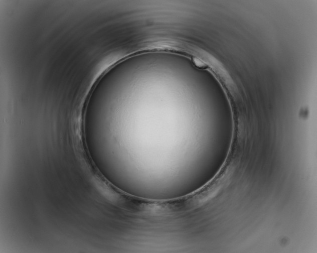 X0000103331234200809051202