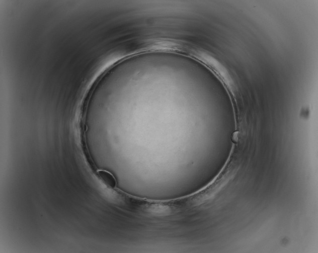 X0000103331235200809051202