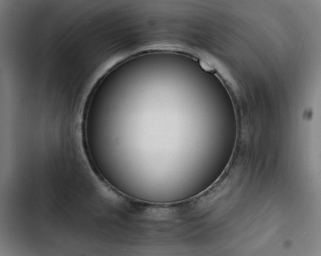 X0000103331237200809051202