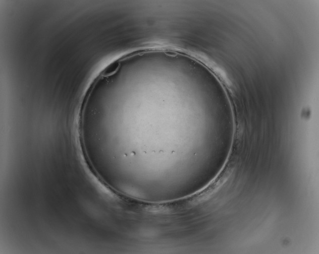 X0000103331239200809051202