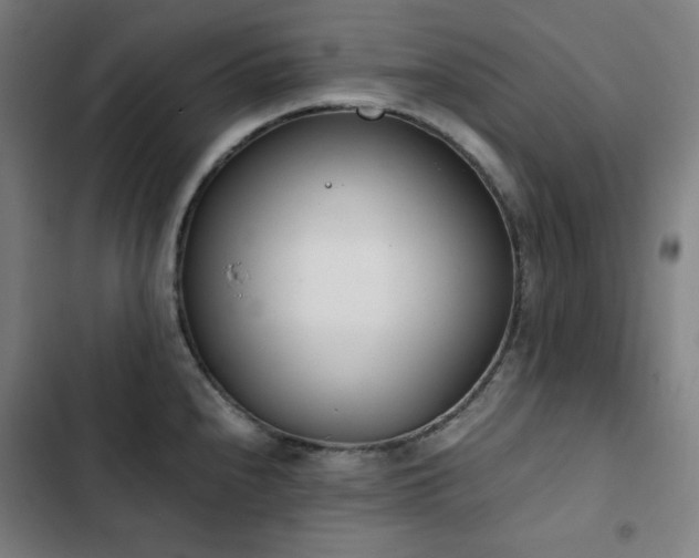 X0000103331240200809051202