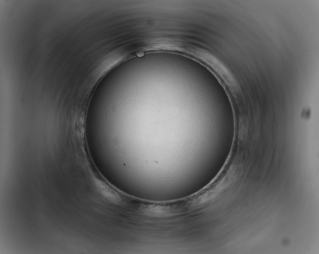 X0000103331241200809051202