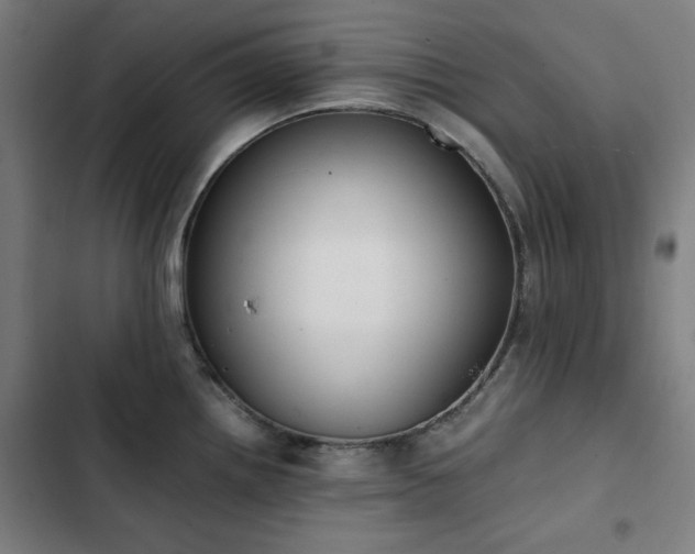X0000103331242200809051202