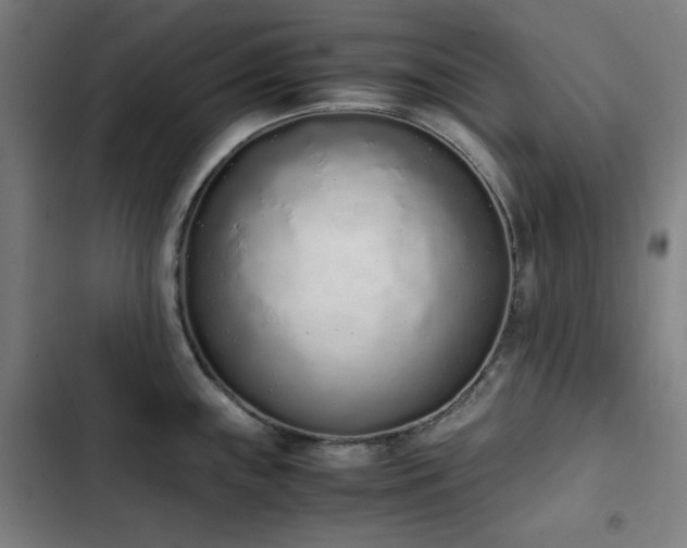 X0000103331243200809051202