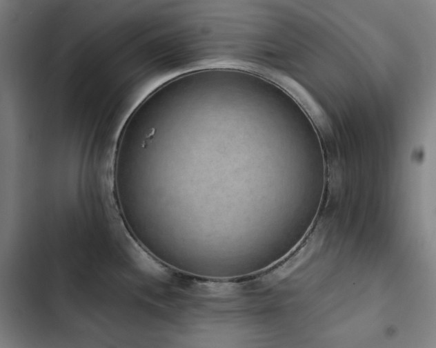 X0000103331244200809051202