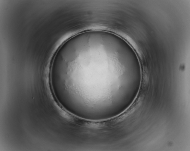X0000103331245200809051202