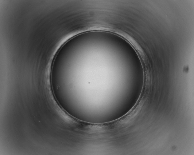 X0000103331246200809051202