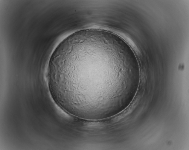 X0000103331247200809051202
