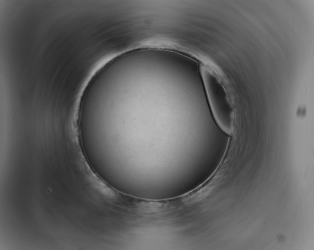 X0000103331248200809051202