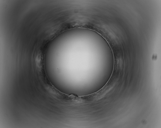 X0000103331250200809051202