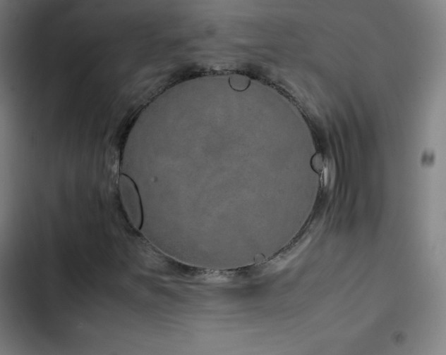 X0000103331251200809051202