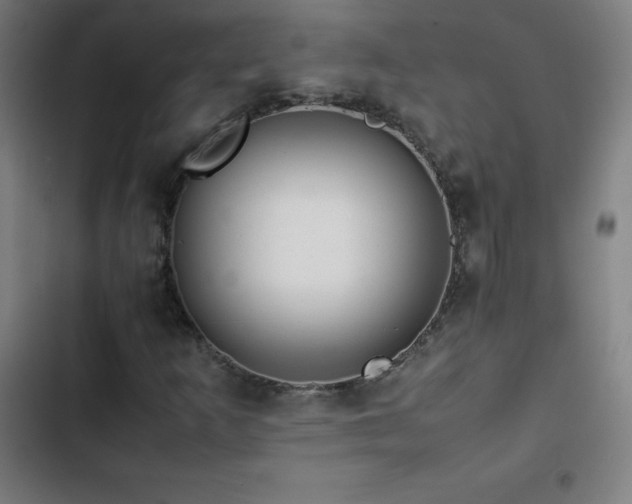 X0000103331253200809051201
