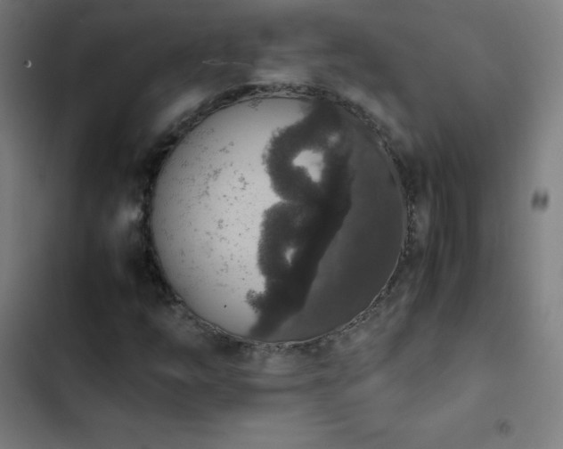 X0000103331254200809051201