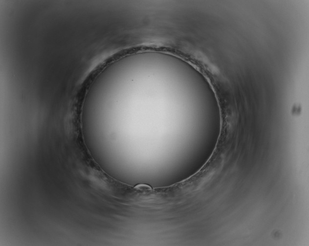 X0000103331256200809051201