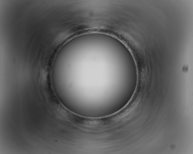 X0000103331257200809051201