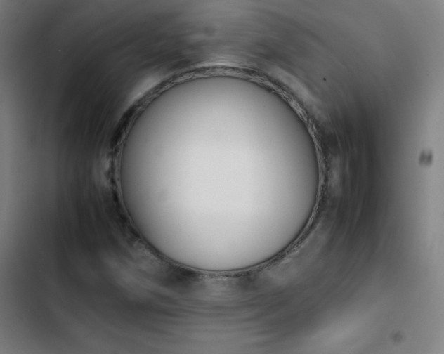 X0000103331258200809051201
