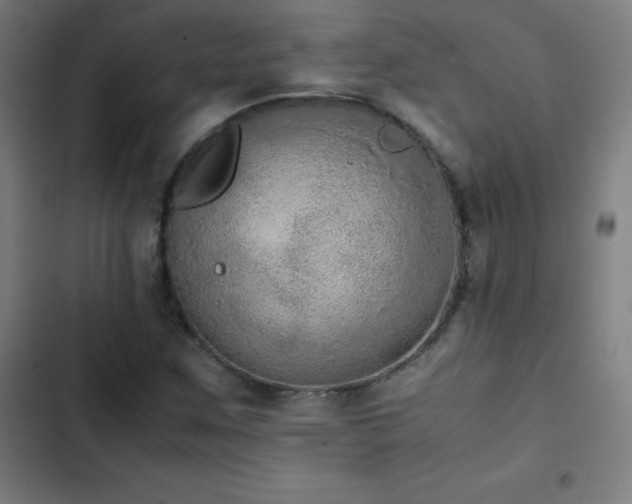 X0000103331259200809051201