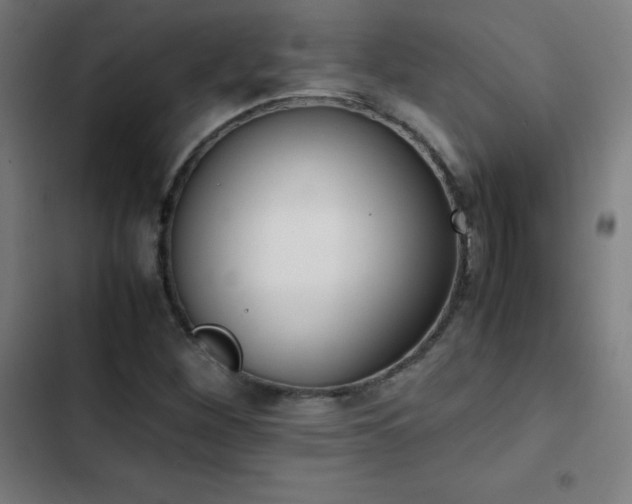 X0000103331260200809051201