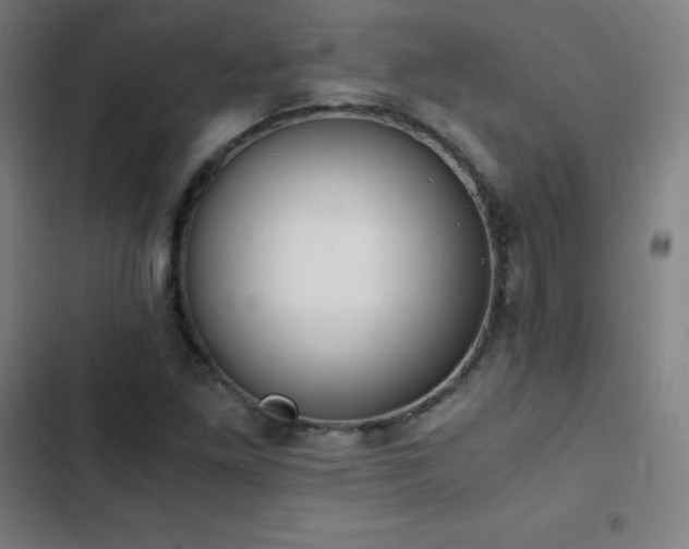 X0000103331261200809051201