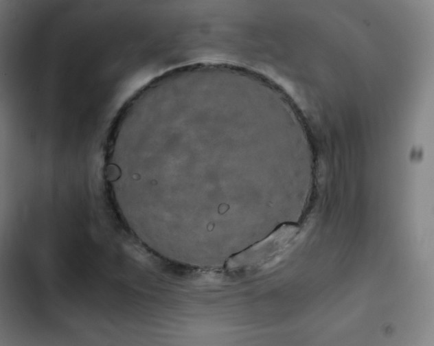 X0000103331263200809051201