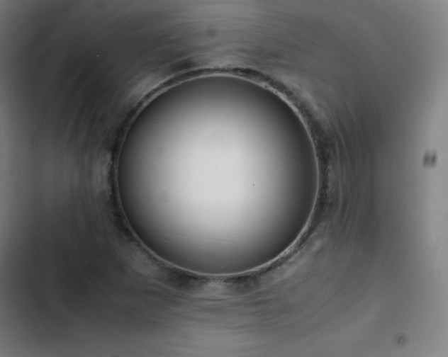 X0000103331265200809051201