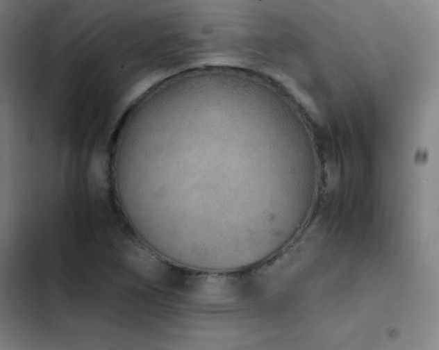 X0000103331266200809051201