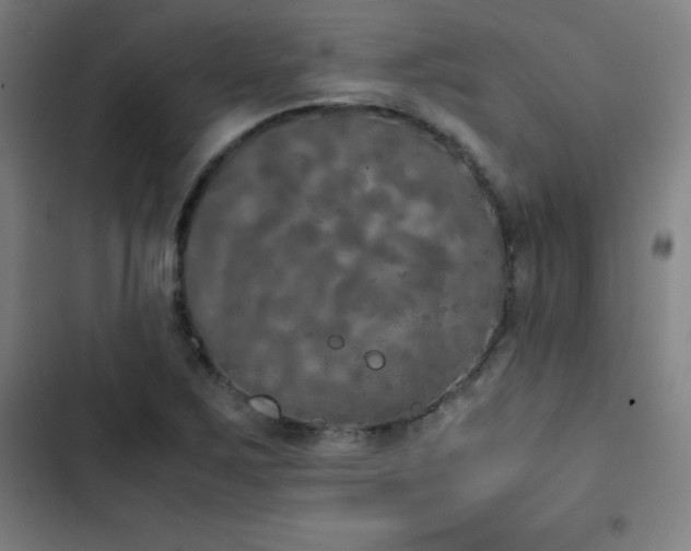 X0000103331267200809051201