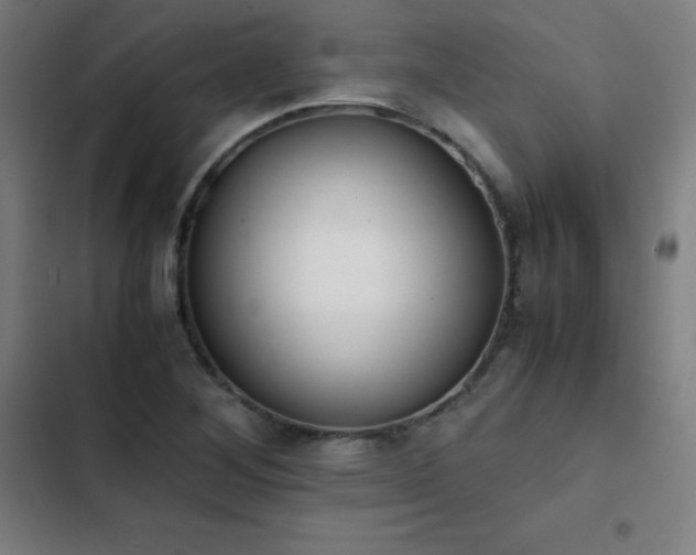 X0000103331268200809051201