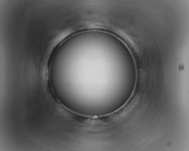 X0000103331269200809051201