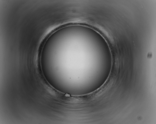 X0000103331270200809051201