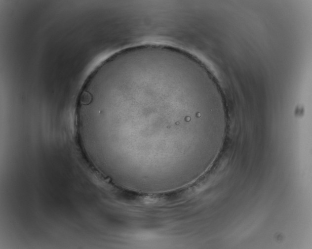 X0000103331271200809051201