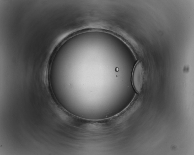 X0000103331272200809051201