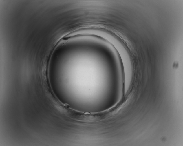 X0000103331273200809051201