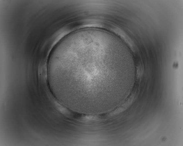X0000103331274200809051201