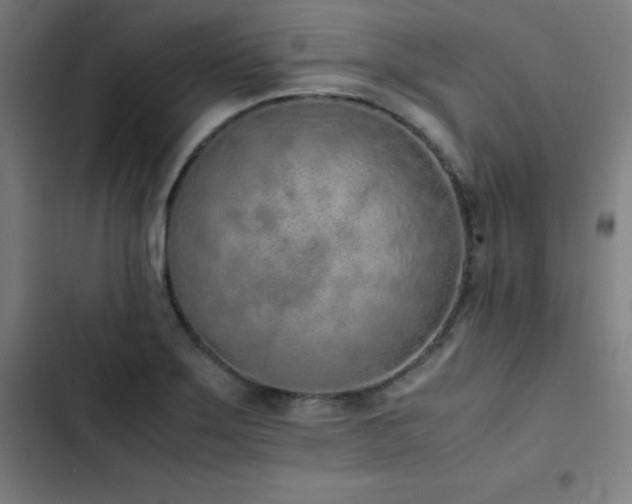 X0000103331275200809051201