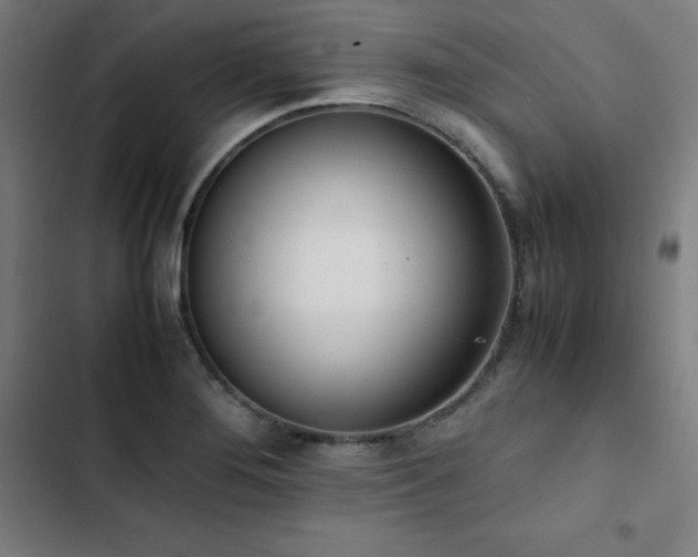 X0000103331276200809051201