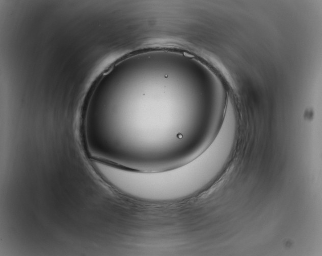 X0000103331277200809051201