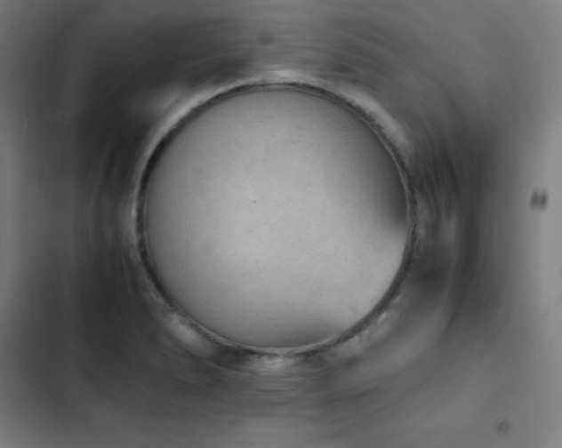 X0000103331278200809051201