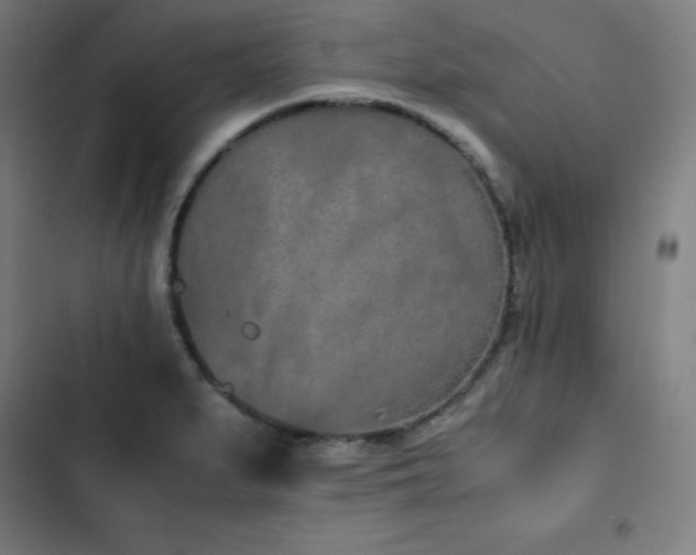 X0000103331279200809051201
