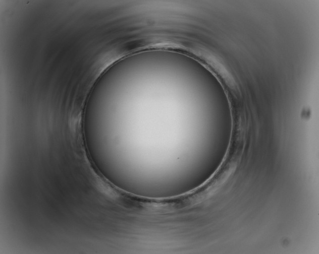 X0000103331281200809051201