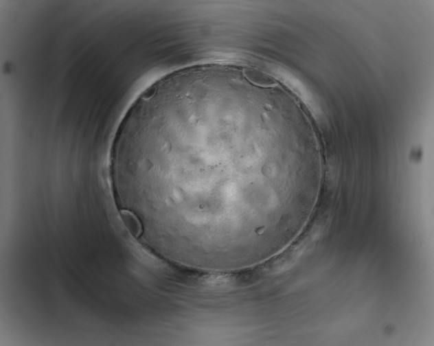 X0000103331283200809051201