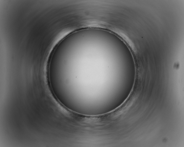 X0000103331285200809051201
