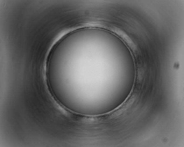X0000103331286200809051201