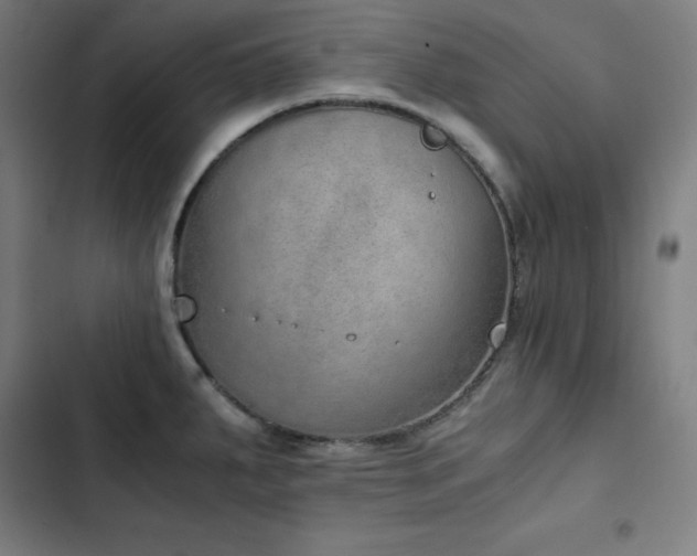 X0000103331287200809051201