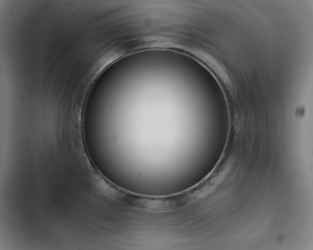X0000103331289200809051201