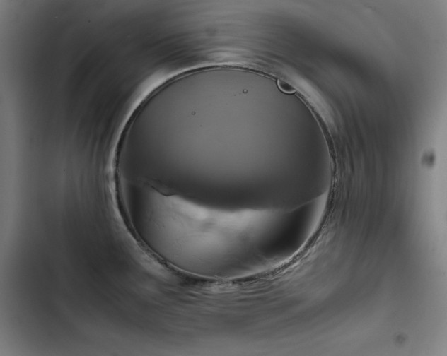X0000103331291200809051201